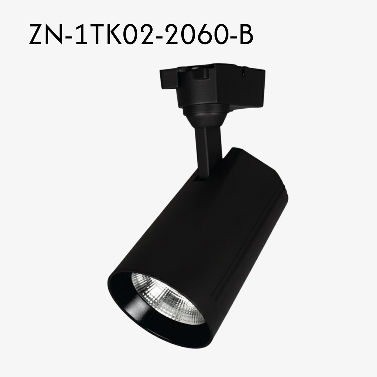 Track Light